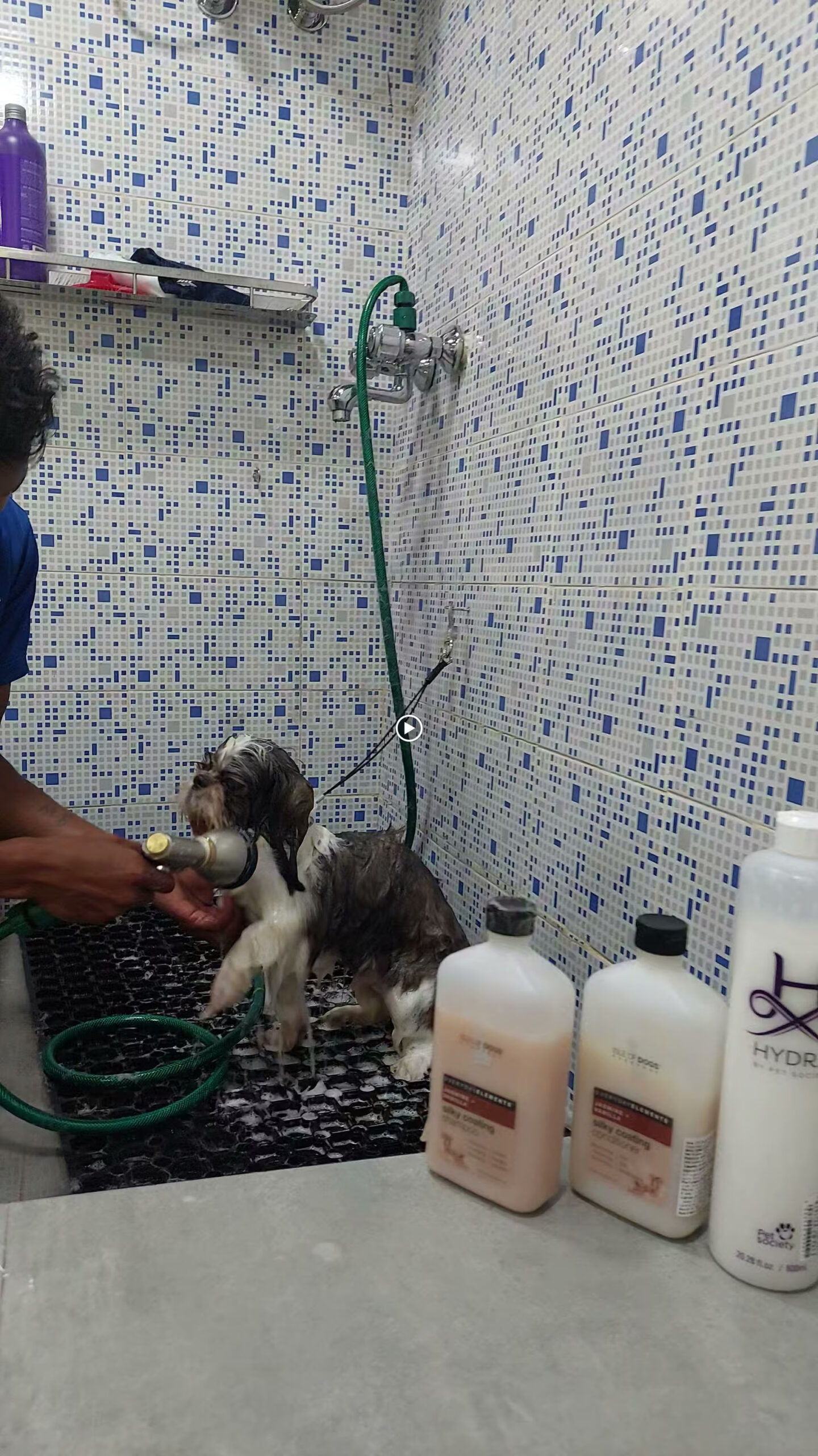 Petbuddy Pet Grooming Salon