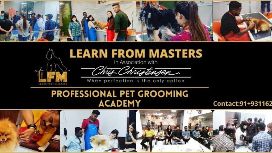 Pet Grooming (Learn From Masters)