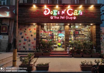 dogs-n-cats-noida-sector-18-noid-2