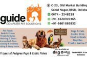 Guide Complete Pet Solution