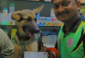 Dr Ukale’s Veterinary Pet Health Clinic