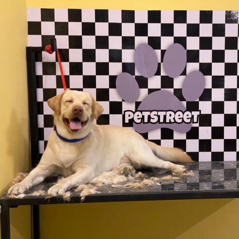 Petstreet Store Grooming and Veterinary Clinic