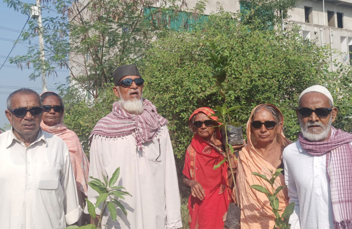 One-Eye-One-Tree2-1170x760