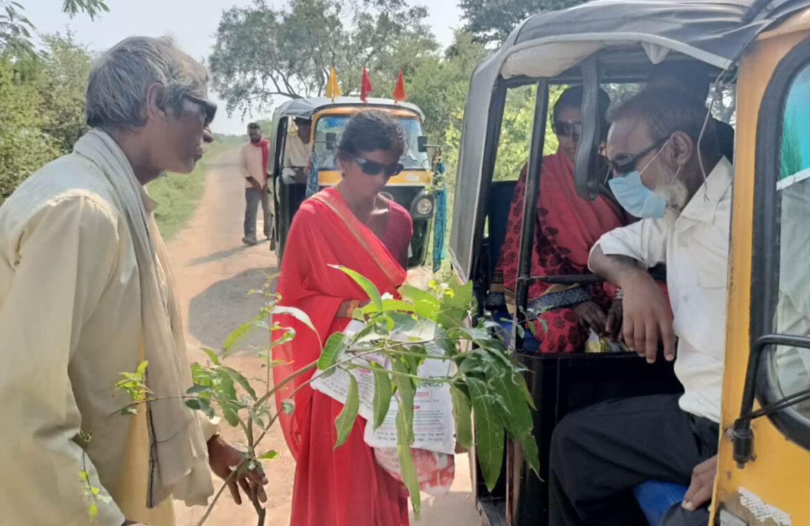 One-Eye-One-Tree6-1170x760